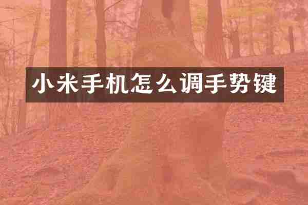小米手机怎么调手势键