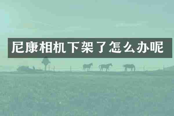 尼康相机下架了怎么办呢