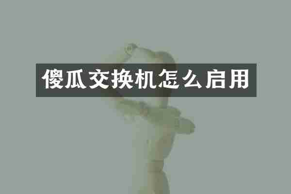 傻瓜交换机怎么启用