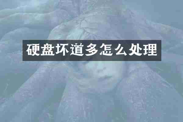 硬盘坏道多怎么处理