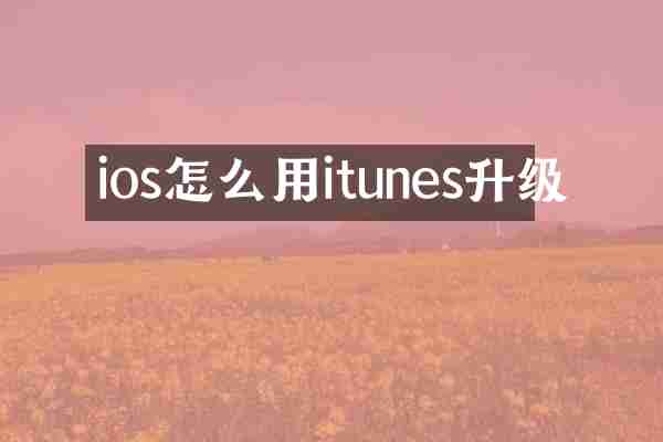 ios怎么用itunes升级