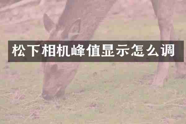 相机峰值显示怎么调