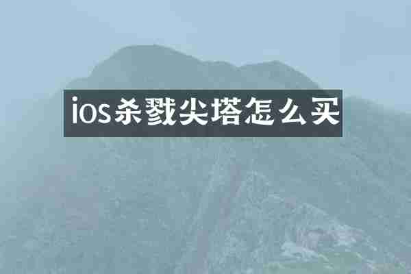 ios杀戮尖塔怎么买