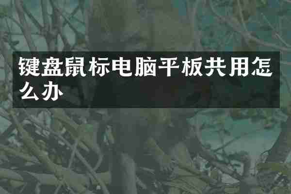 键盘鼠标电脑平板共用怎么办