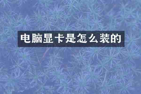 电脑显卡是怎么装的