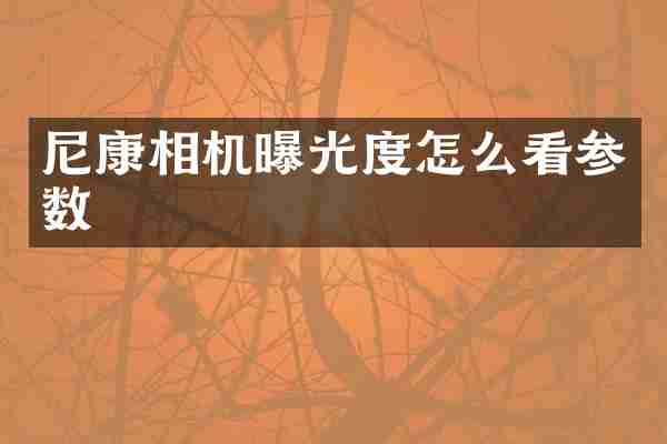 尼康相机曝光度怎么看参数