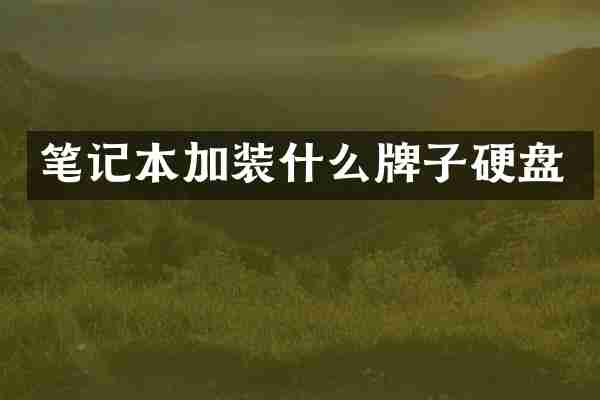 笔记本加装什么牌子硬盘