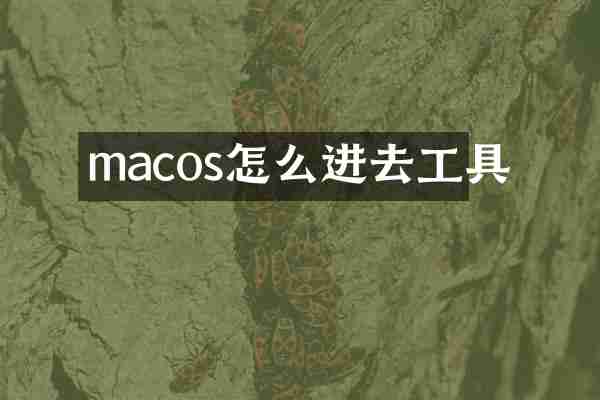 macos怎么进去工具
