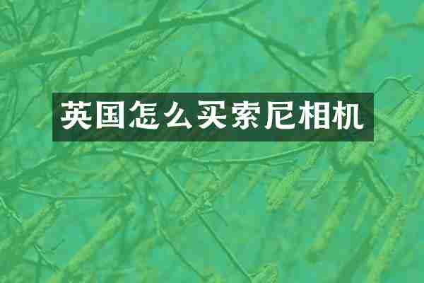 英国怎么买索尼相机