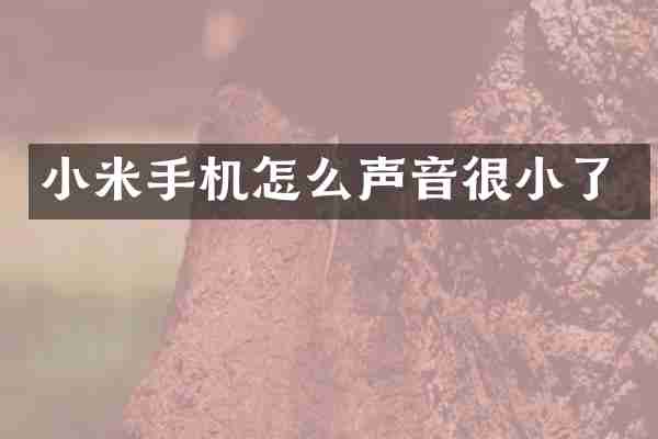 小米手机怎么声音很小了