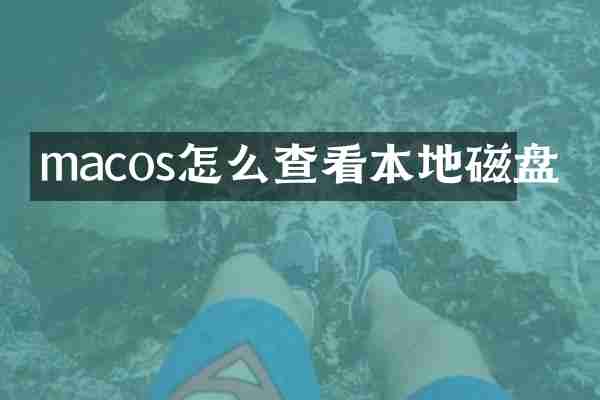 macos怎么查看本地磁盘