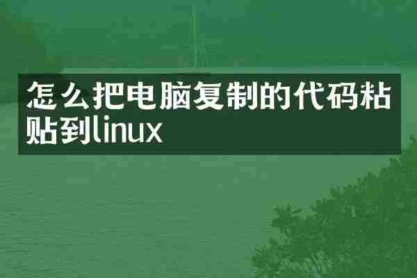 怎么把电脑复制的代码粘贴到linux