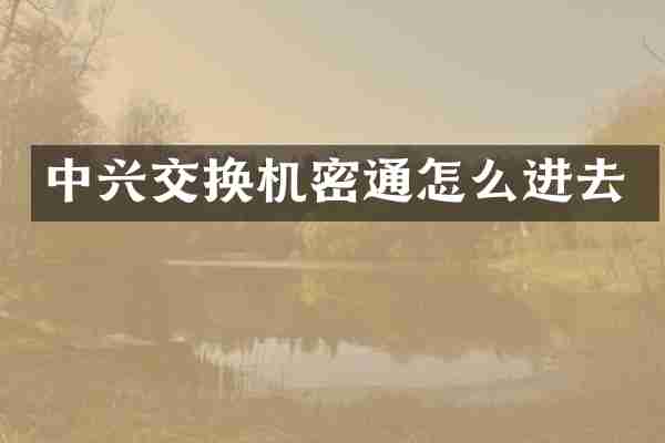 中兴交换机密通怎么进去