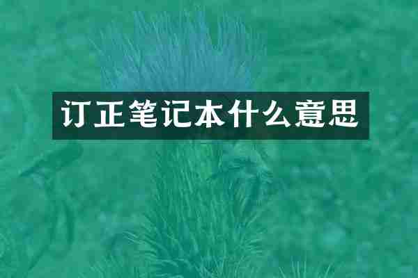 订正笔记本什么意思
