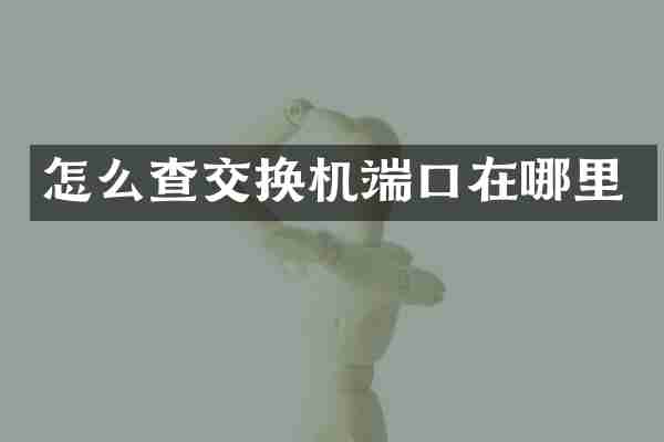 怎么查交换机端口在哪里