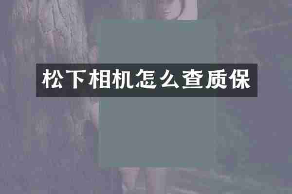 松下相机怎么查质保