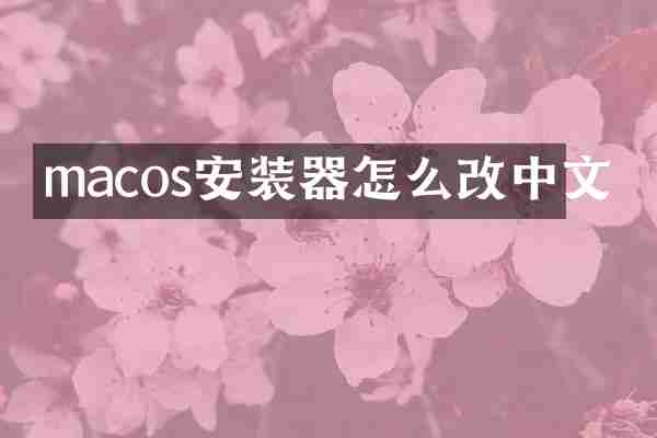 macos安装器怎么改中文