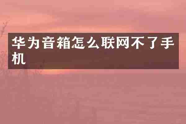 华为音箱怎么联网不了手机