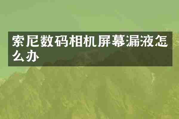 数码相机屏幕漏液怎么办