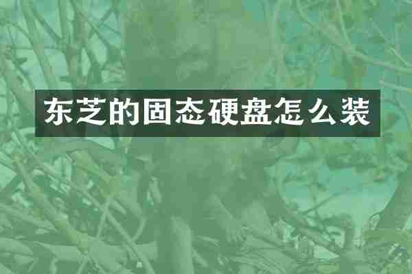 东芝的固态硬盘怎么装