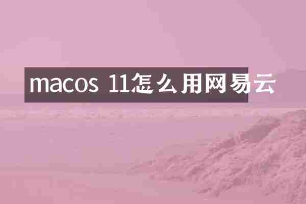 macos 11怎么用网易云