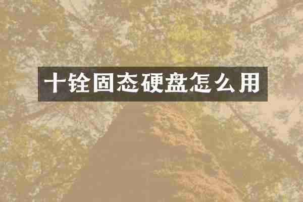 十铨固态硬盘怎么用