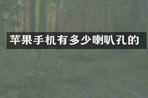 苹果手机有多少喇叭孔的