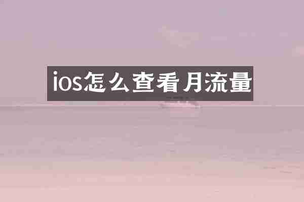 ios怎么查看月流量