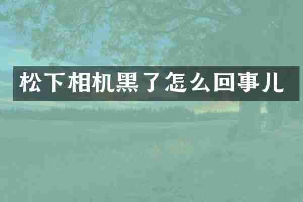 松下相机黑了怎么回事儿
