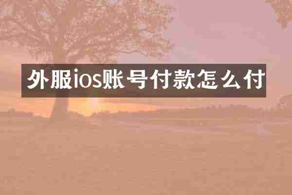 外服ios账号付款怎么付