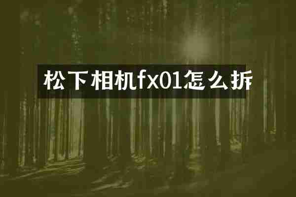 松下相机fx01怎么拆