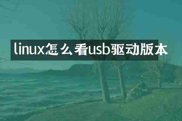 linux怎么看usb驱动版本