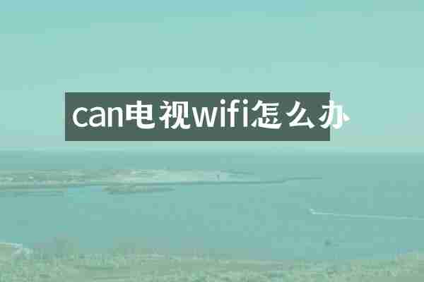 can电视wifi怎么办