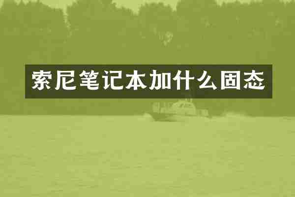 索尼笔记本加什么固态