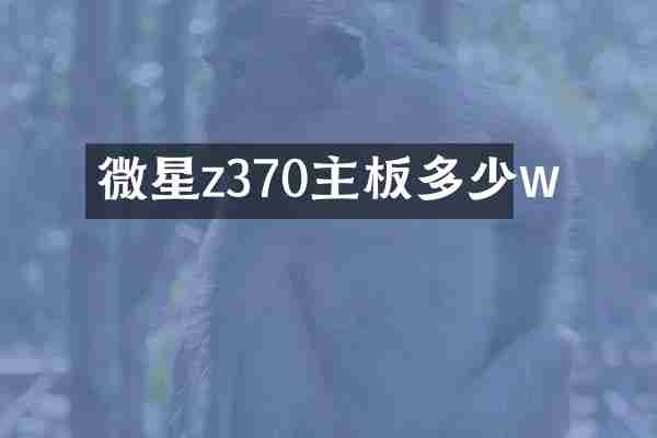 微星z370主板多少w