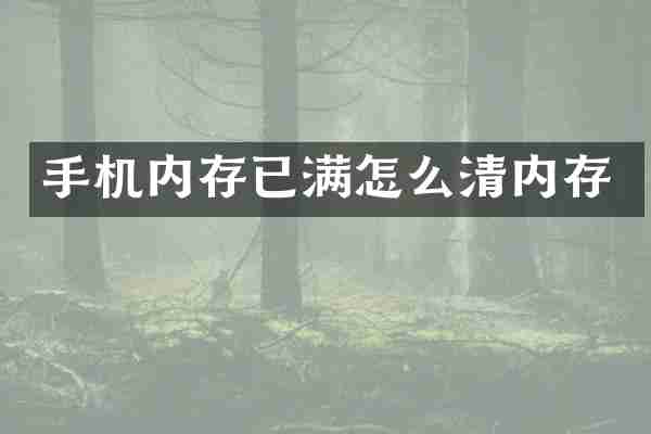 手机内存已满怎么清内存