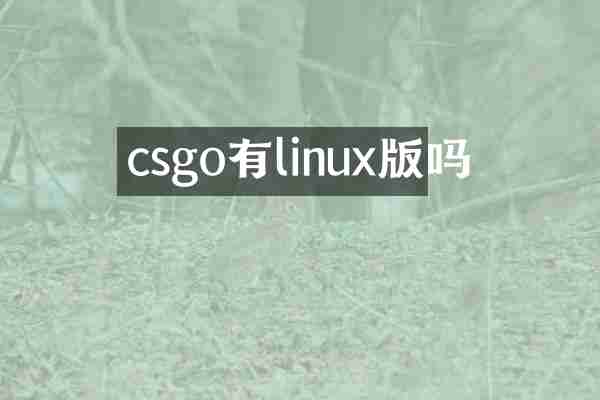 csgo有linux版吗