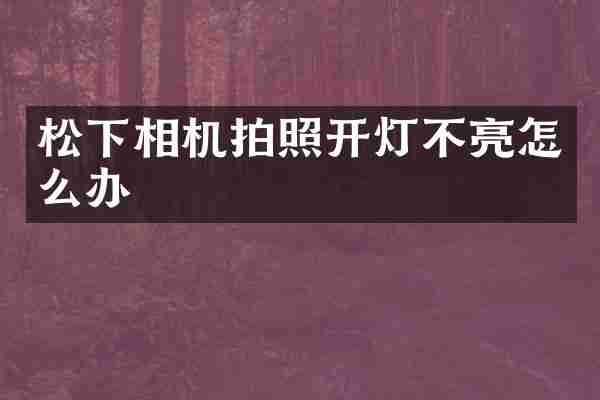松下相机拍照开灯不亮怎么办
