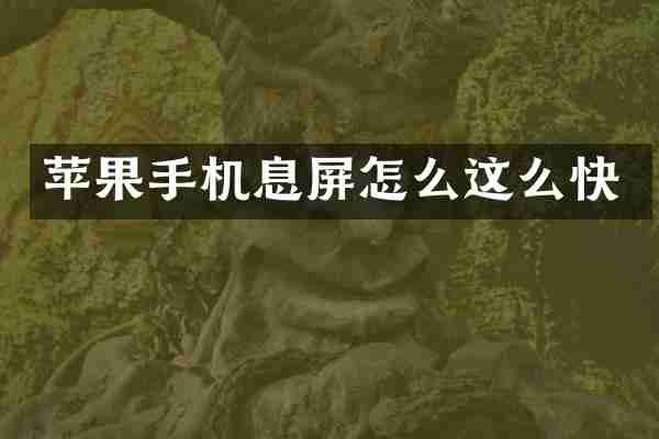 苹果手机息屏怎么这么快