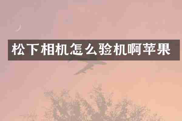 相机怎么验机啊苹果