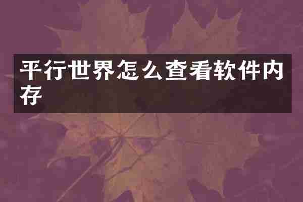 平行世界怎么查看软件内存