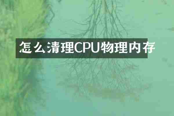 怎么清理CPU物理内存