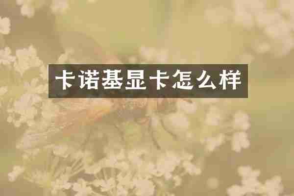 卡诺基显卡怎么样