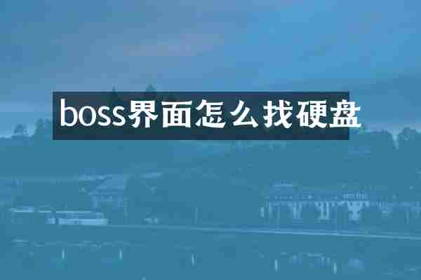 boss界面怎么找硬盘