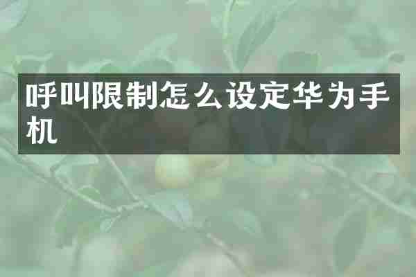 呼叫限制怎么设定华为手机