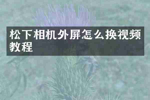 松下相机外屏怎么换视频教程