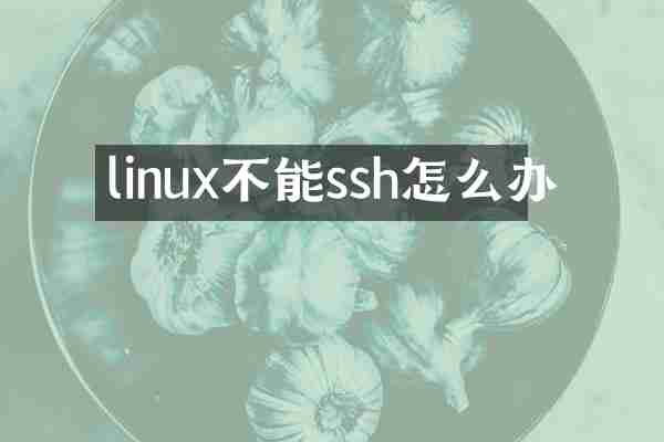 linux不能ssh怎么办
