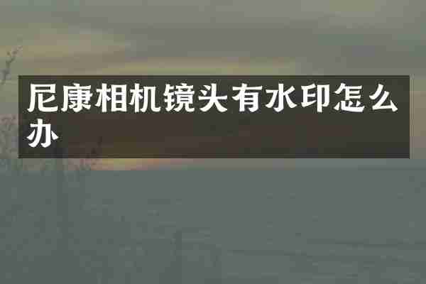 尼康相机镜头有水印怎么办