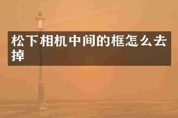 相机中间的框怎么去掉