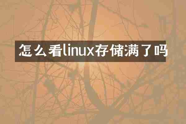 怎么看linux存储满了吗